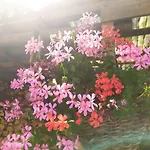 Appartement Marmolada *