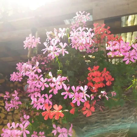 Διαμέρισμα Marmolada *