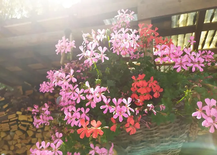 Apartament Marmolada *